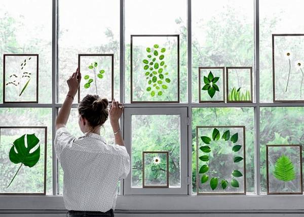 Cửa sổ đẹp lung linh với những họa tiết cây xanh bắt mắt